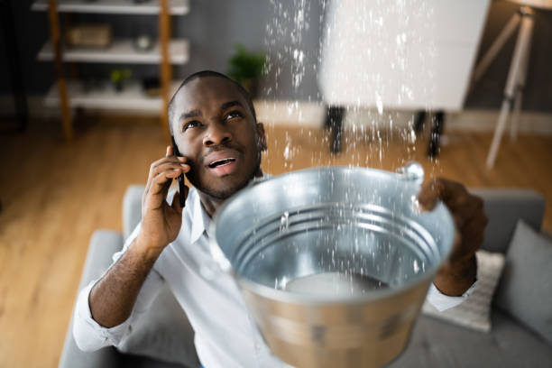 Best Water damage restoration specialists  in Suwanee, GA