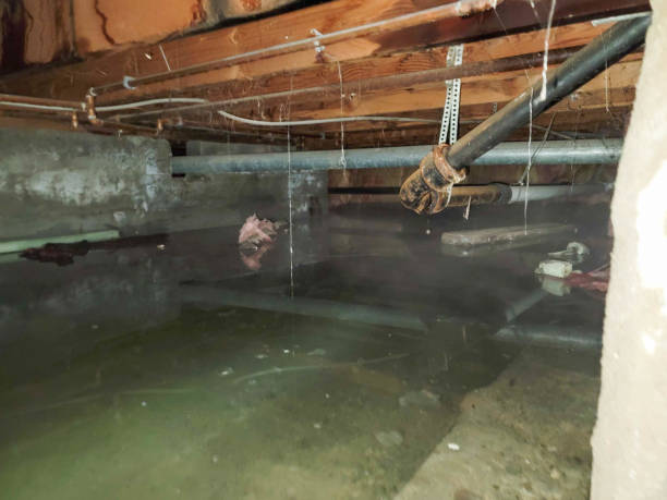 Best Flooded house restoration  in Suwanee, GA