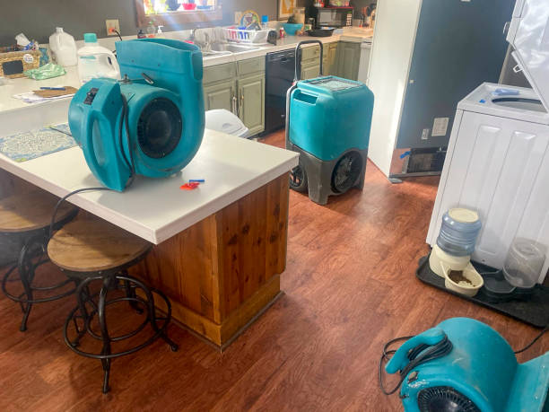Best Water damage restoration mold remediation  in Suwanee, GA