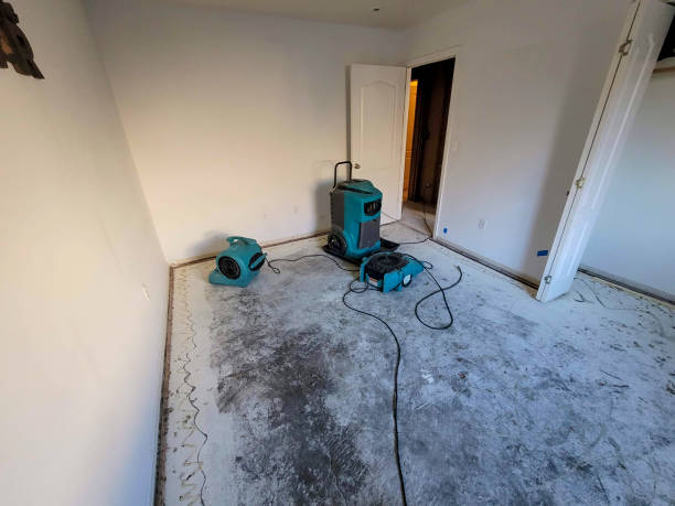 Best 24/7 water damage repair  in Suwanee, GA