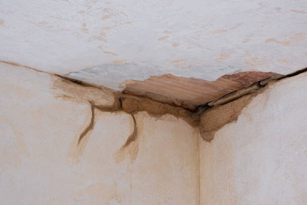 Best Water damage cleanup near me  in Suwanee, GA