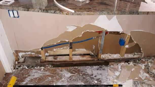 Best Carpet water damage restoration  in Suwanee, GA