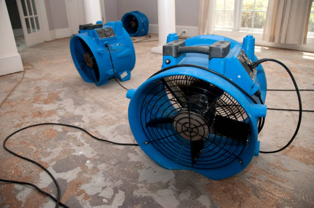 Best Commercial water damage restoration  in Suwanee, GA