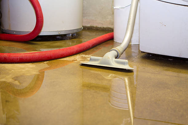 Best Water damage contractors near me  in Suwanee, GA