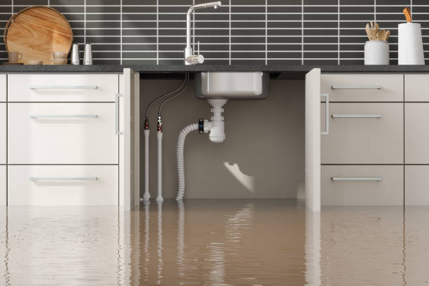  Suwanee, GA Water damage restoration Pros