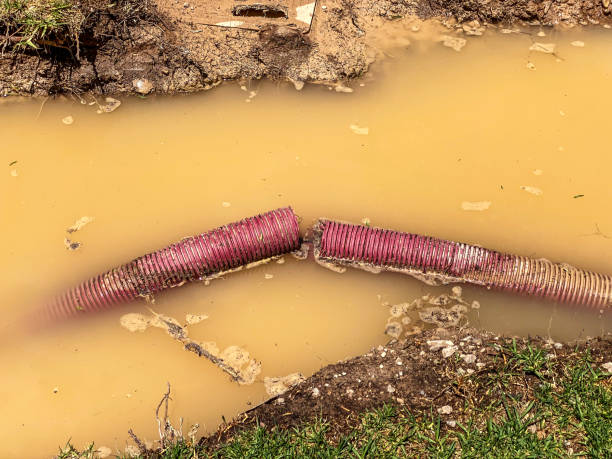 Best Emergency water damage restoration  in Suwanee, GA